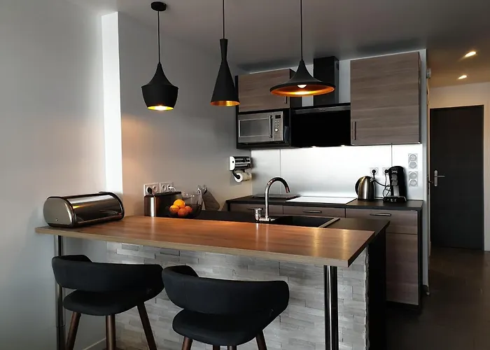 2cap D'agde Naturiste Grand T2 De Standing Avec Garage Privé Appartement