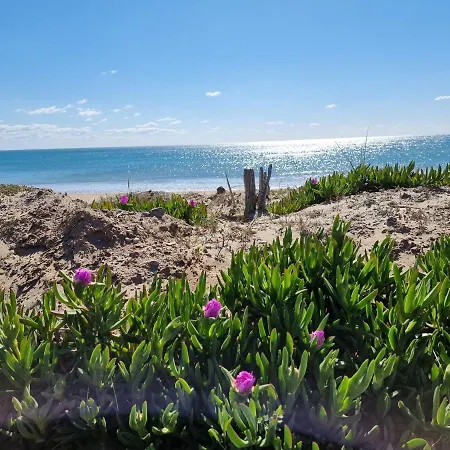 2cap D'agde Naturiste Grand T2 De Standing Avec Garage Prive アパート アグド