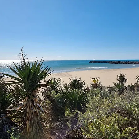2cap D'agde Naturiste Grand T2 De Standing Avec Garage Prive Apartament *