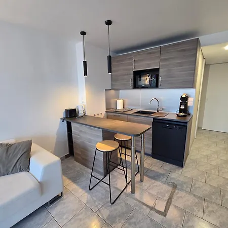 2cap D'agde Naturiste Grand T2 De Standing Avec Garage Prive アグド