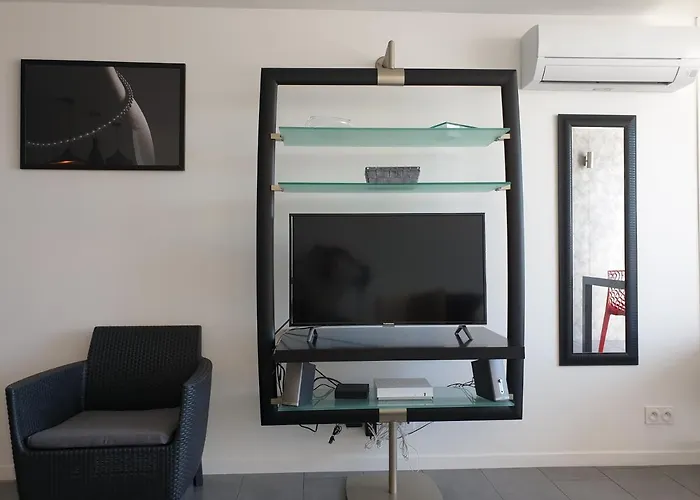 2cap D'agde Naturiste Grand T2 De Standing Avec Garage Prive Agde