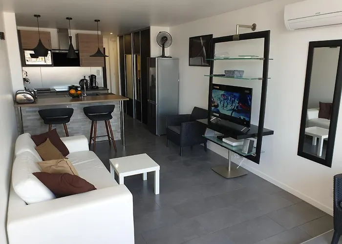 Apartment 2cap D'agde Naturiste Grand T2 De Standing Avec Garage Prive *