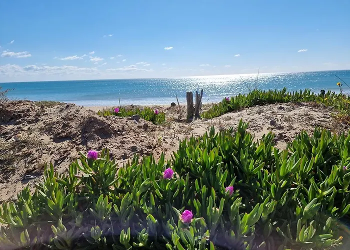 2cap D'agde Naturiste Grand T2 De Standing Avec Garage Prive アパート アグド