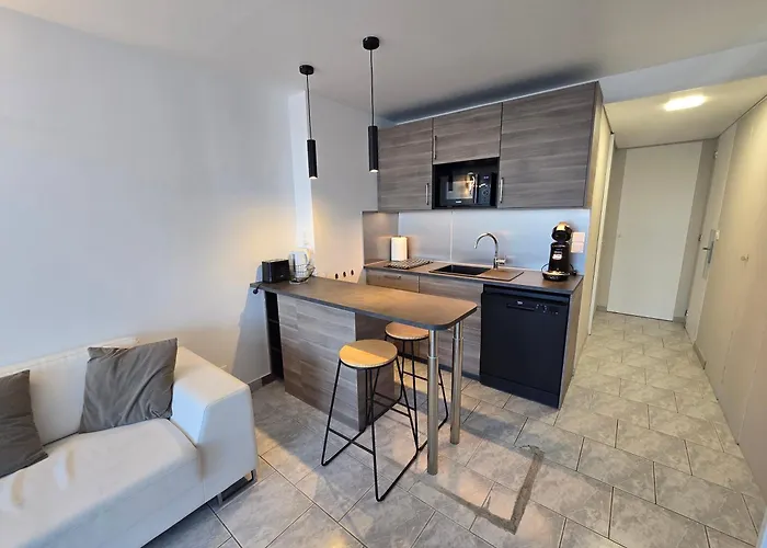 2cap D'agde Naturiste Grand T2 De Standing Avec Garage Prive アグド