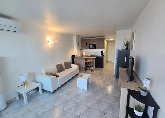 2cap D'agde Naturiste Grand T2 De Standing Avec Garage Prive アグド