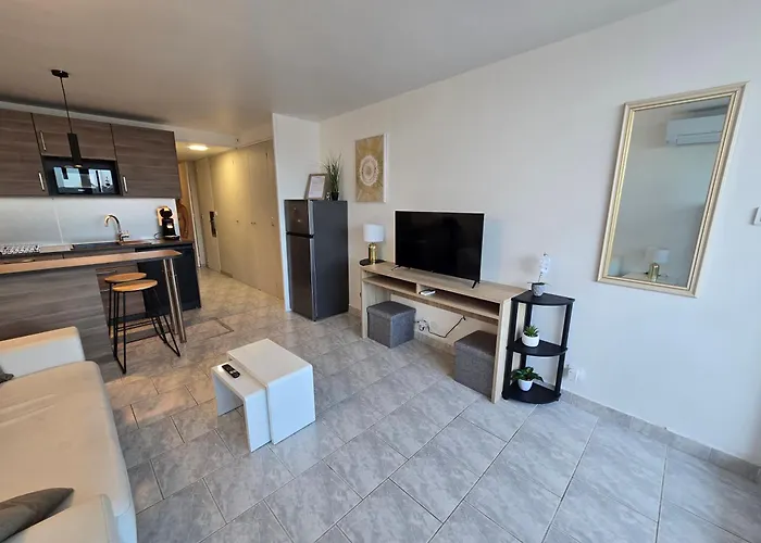 Apartamento 2cap D'agde Naturiste Grand T2 De Standing Avec Garage Privé Agde